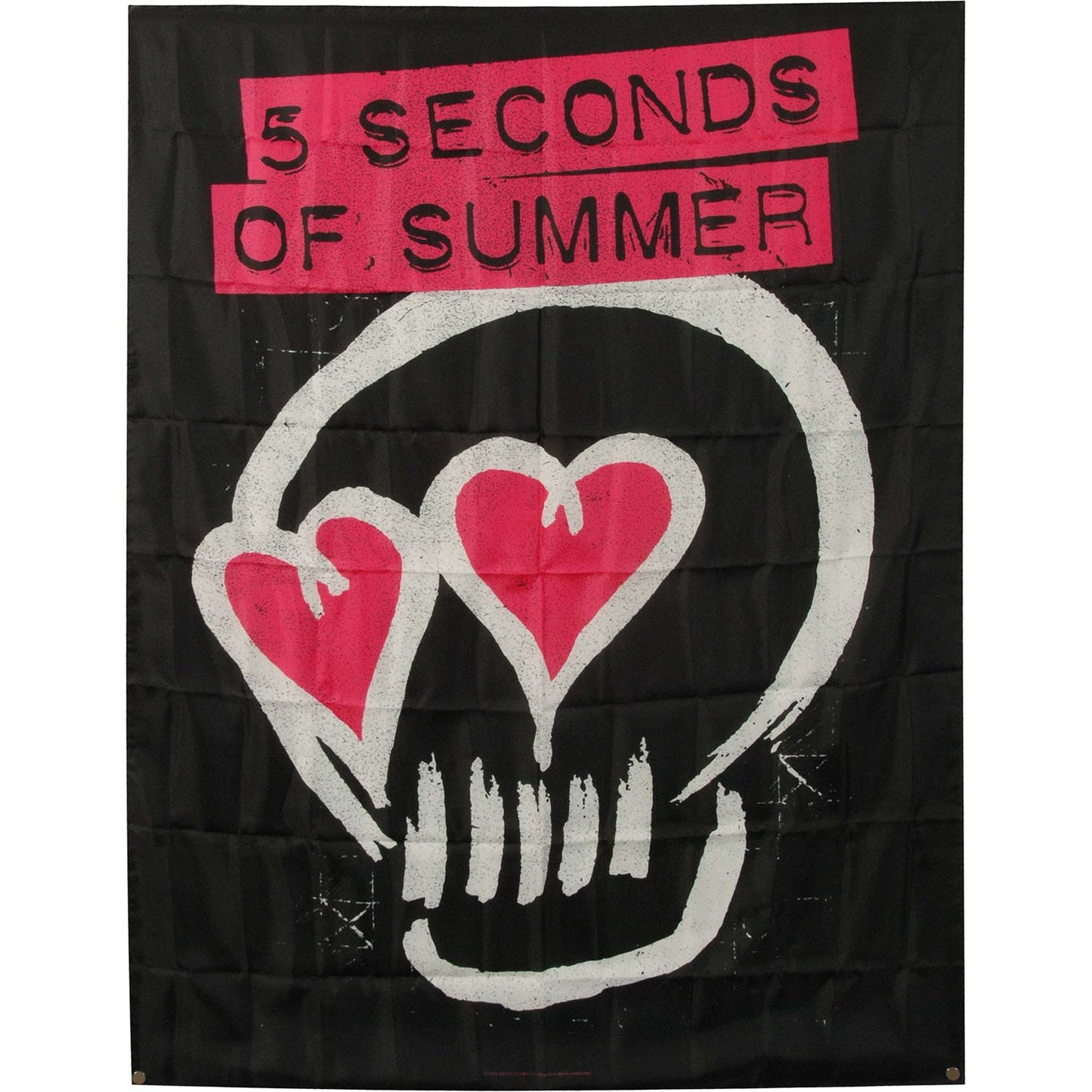 5 Seconds Of Summer Skull Love Poster Flag