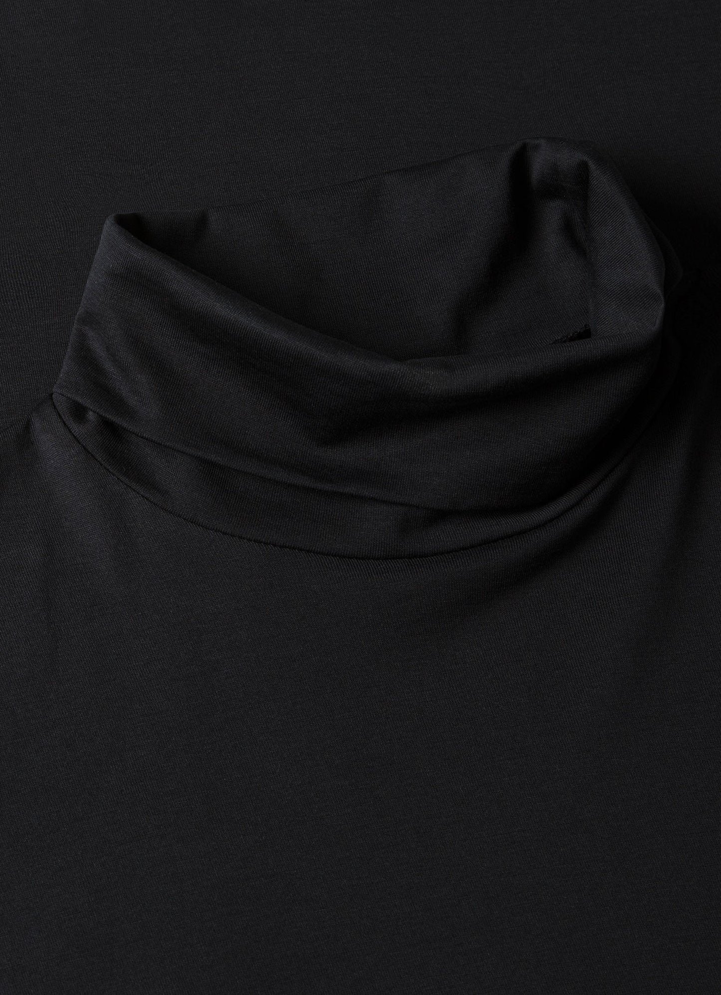 Mens Long Sleeve Roll Neck In Black